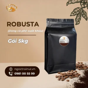 Cà Phê Robusta